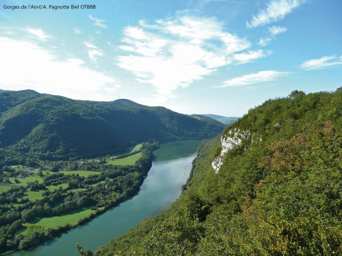 Brou-Seillon : Entre Histoire Et Nature Bourg-en-Bresse Esterno foto