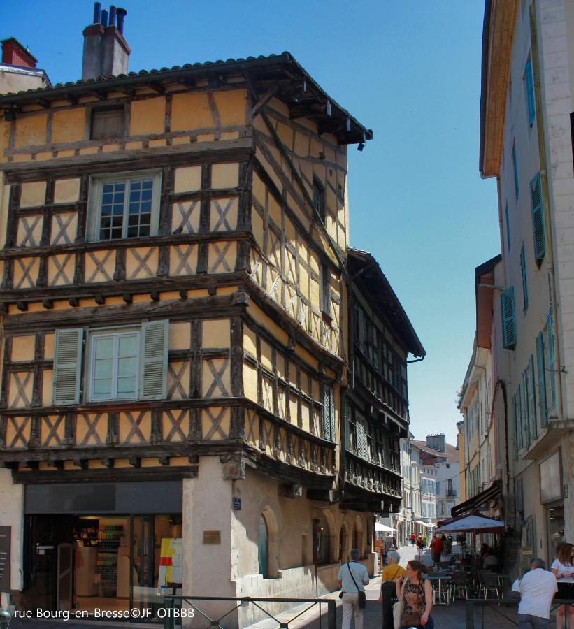 Brou-Seillon : Entre Histoire Et Nature Bourg-en-Bresse Esterno foto