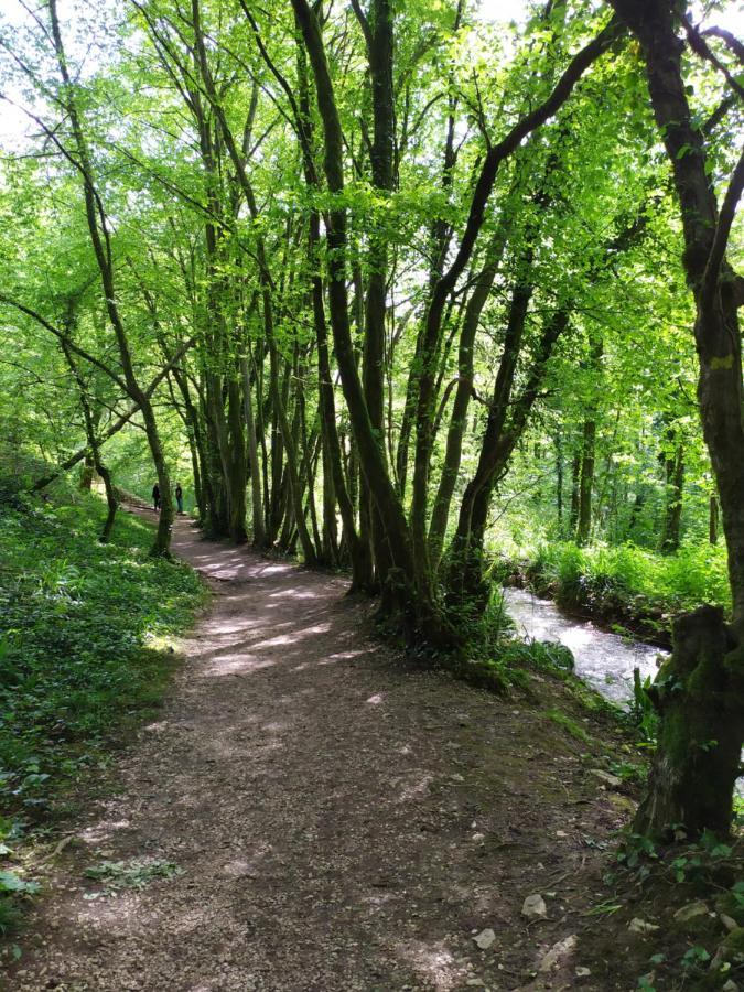 Brou-Seillon : Entre Histoire Et Nature Bourg-en-Bresse Esterno foto