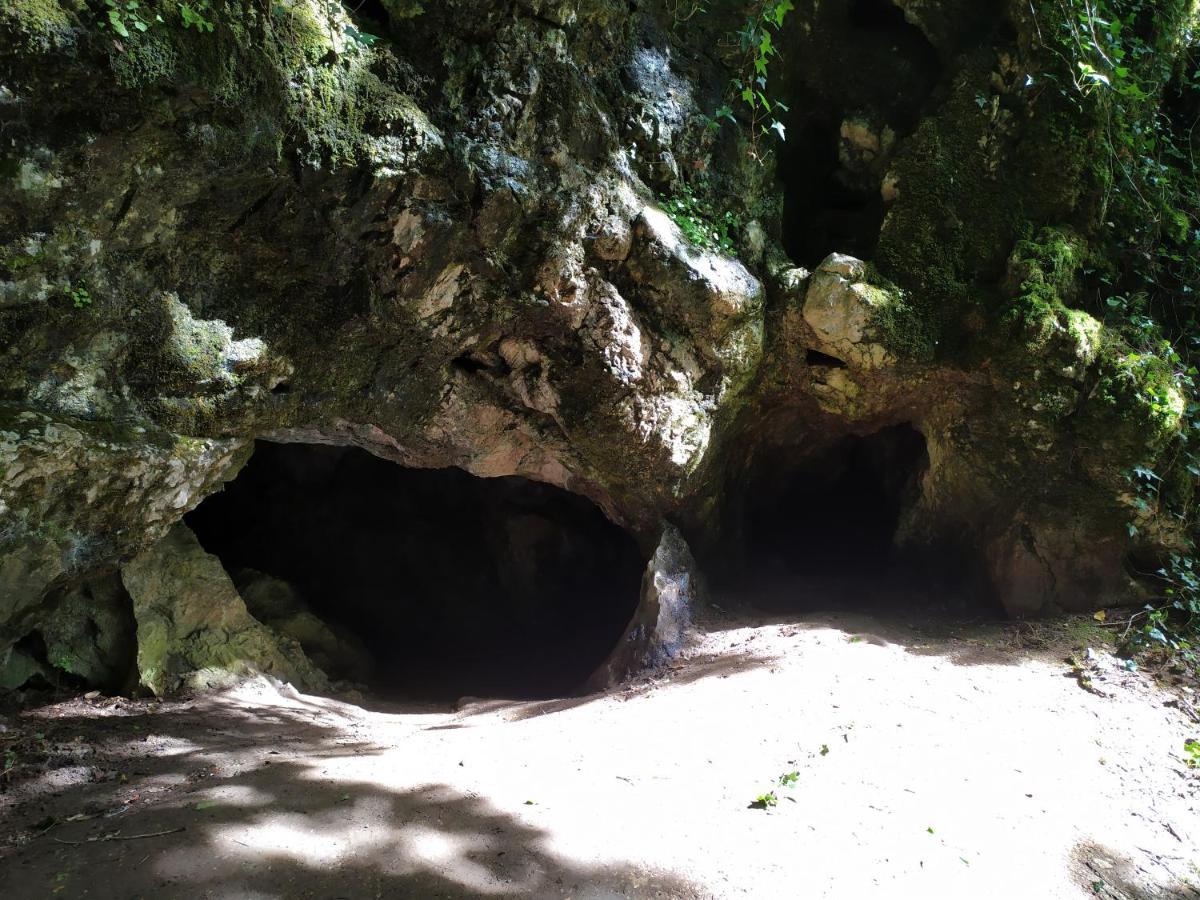 Brou-Seillon : Entre Histoire Et Nature Bourg-en-Bresse Esterno foto