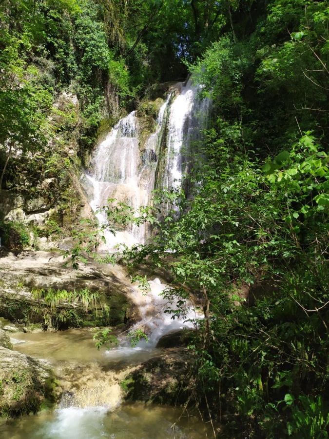 Brou-Seillon : Entre Histoire Et Nature Bourg-en-Bresse Esterno foto